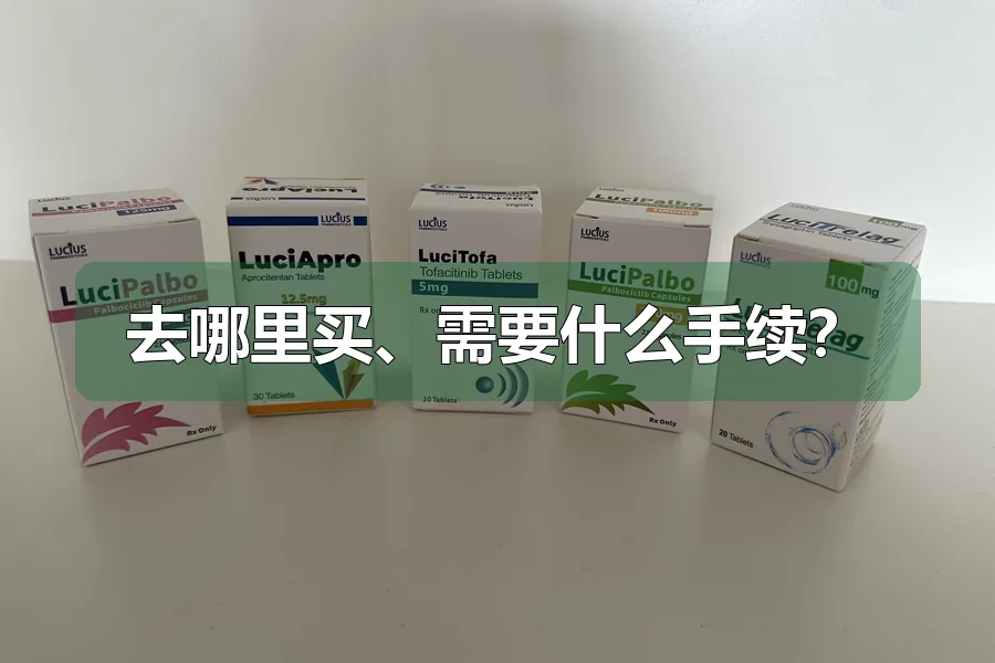 去哪里买、需要什么手续?